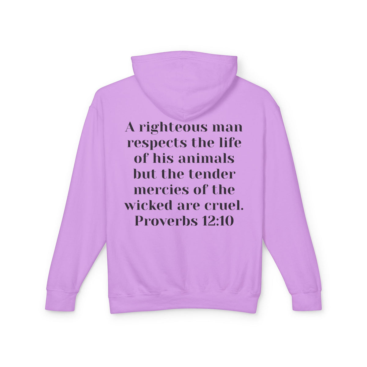 Cat Lover Jesus Follower Hoodie — Proverbs 12:10 Christian Pet Sweatshirt
