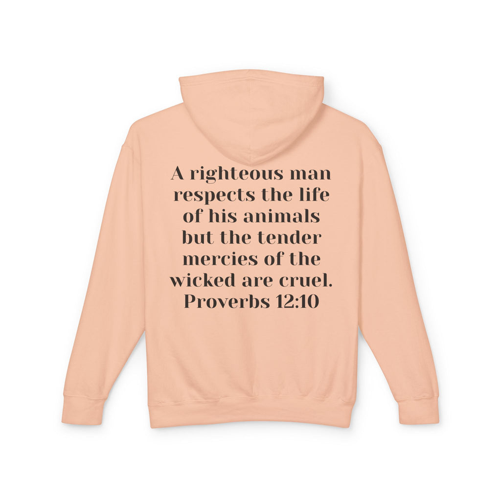 Cat Lover Jesus Follower Hoodie — Proverbs 12:10 Christian Pet Sweatshirt