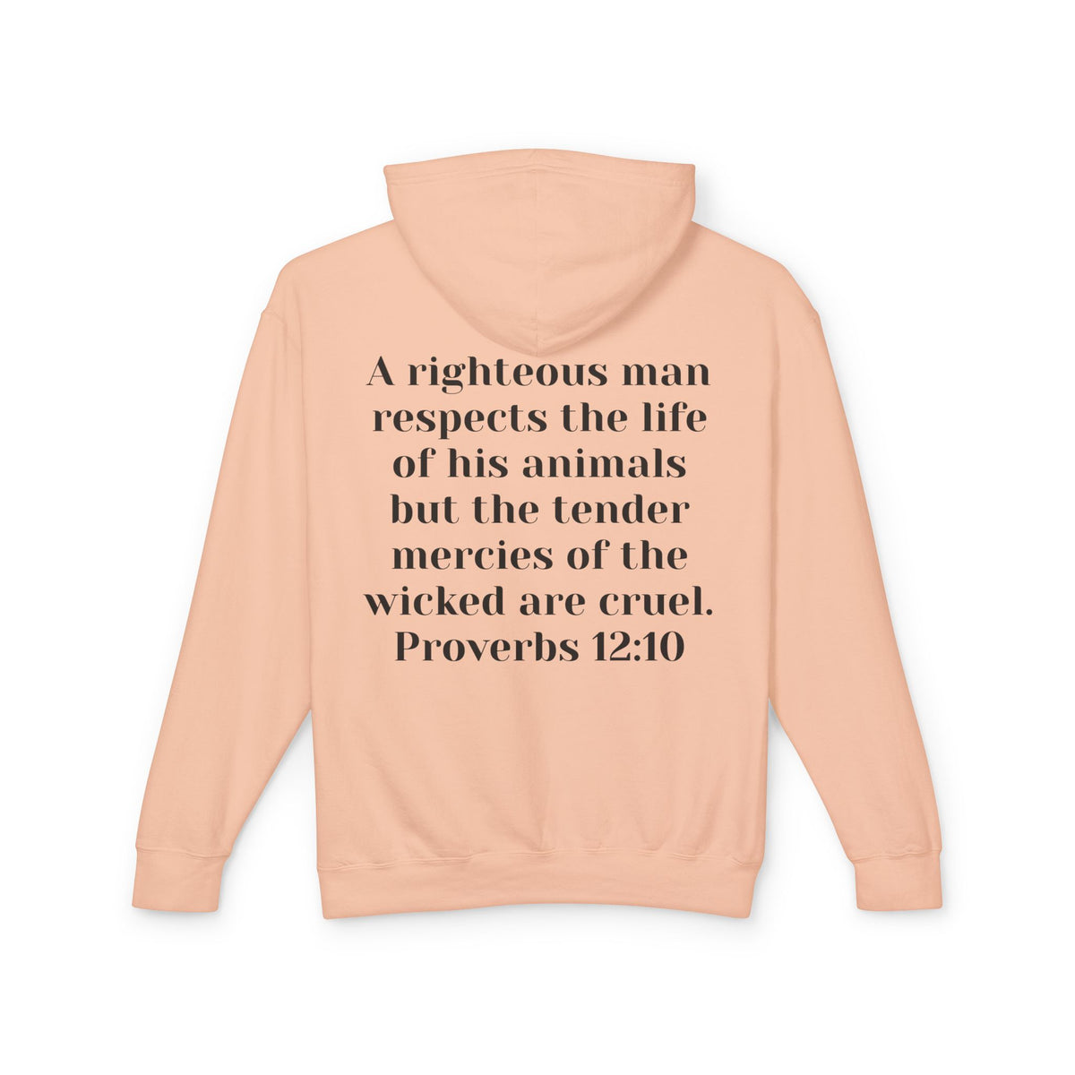 Cat Lover Jesus Follower Hoodie — Proverbs 12:10 Christian Pet Sweatshirt