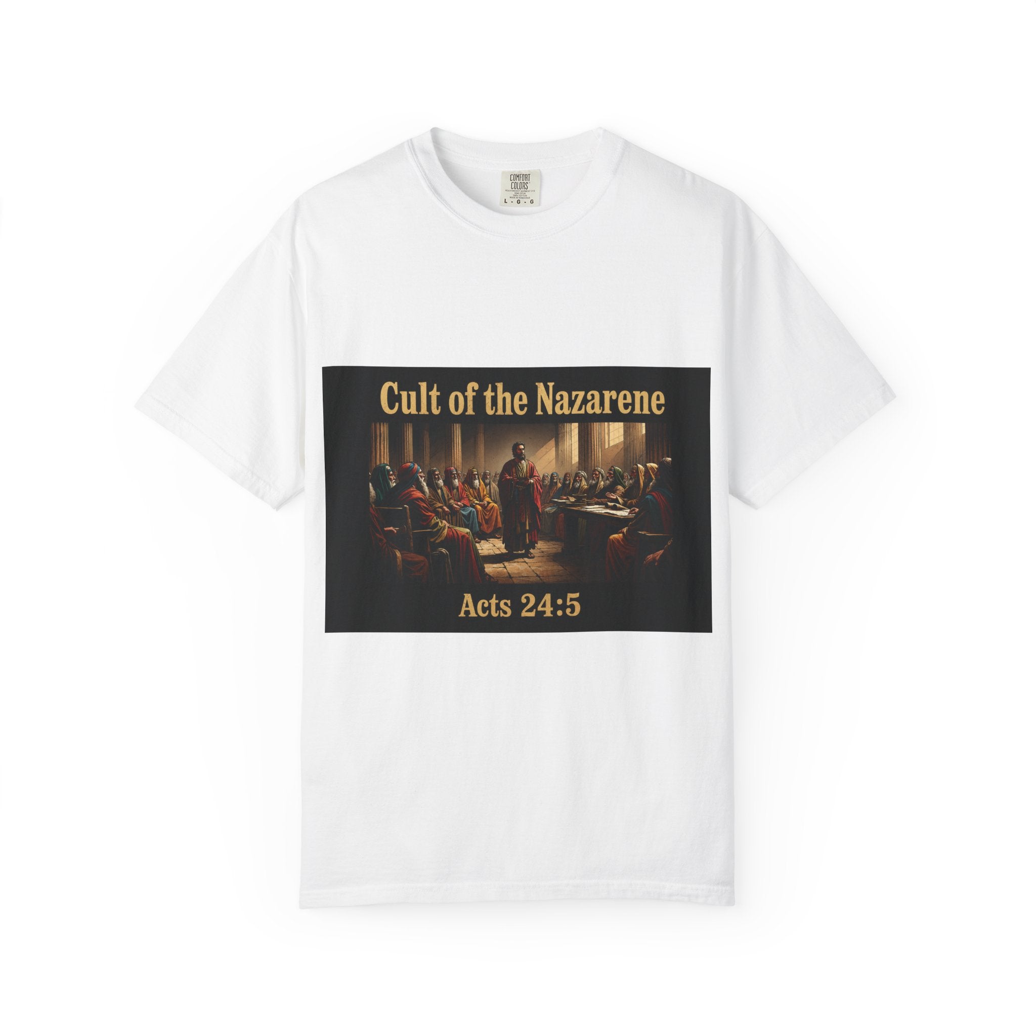 Acts 24:5 Unisex Comfort Dyed T-shirt