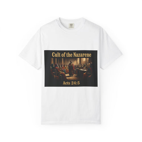 Acts 24:5 Unisex Comfort Dyed T-shirt