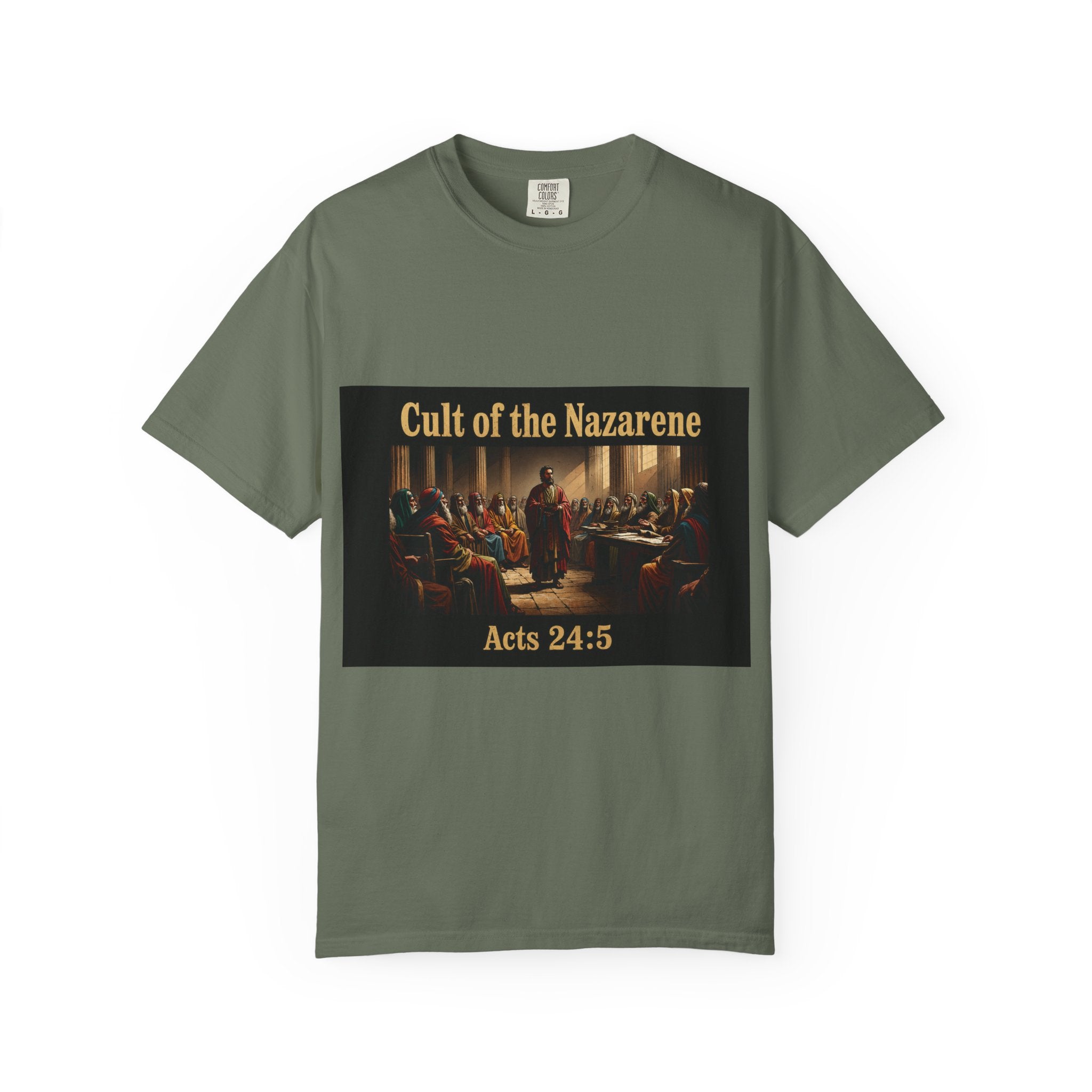 Acts 24:5 Unisex Comfort Dyed T-shirt