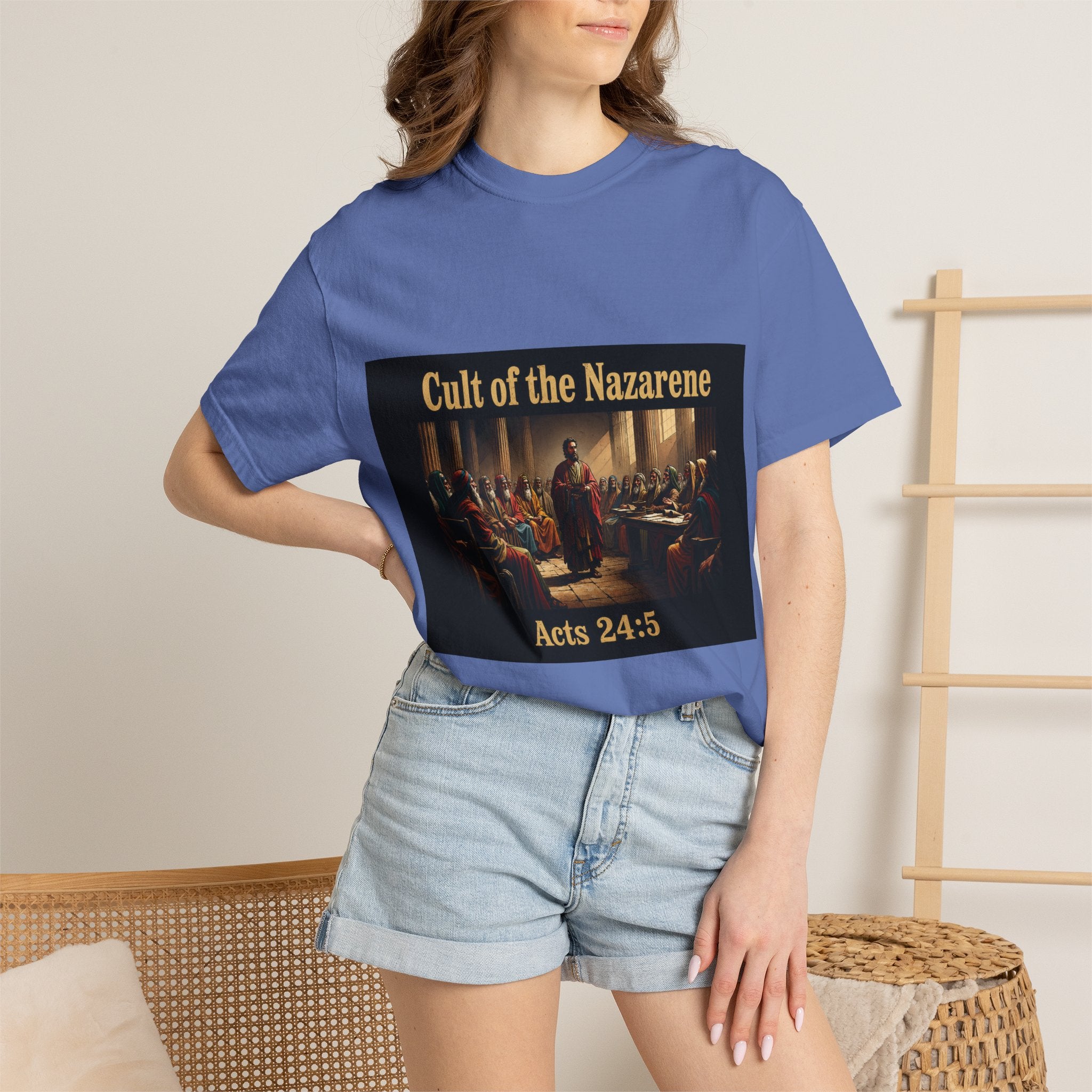 Acts 24:5 Unisex Comfort Dyed T-shirt