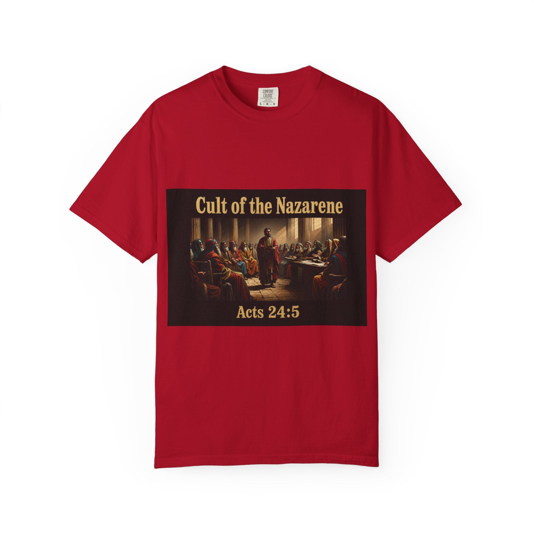 Acts 24:5 Unisex Comfort Dyed T-shirt
