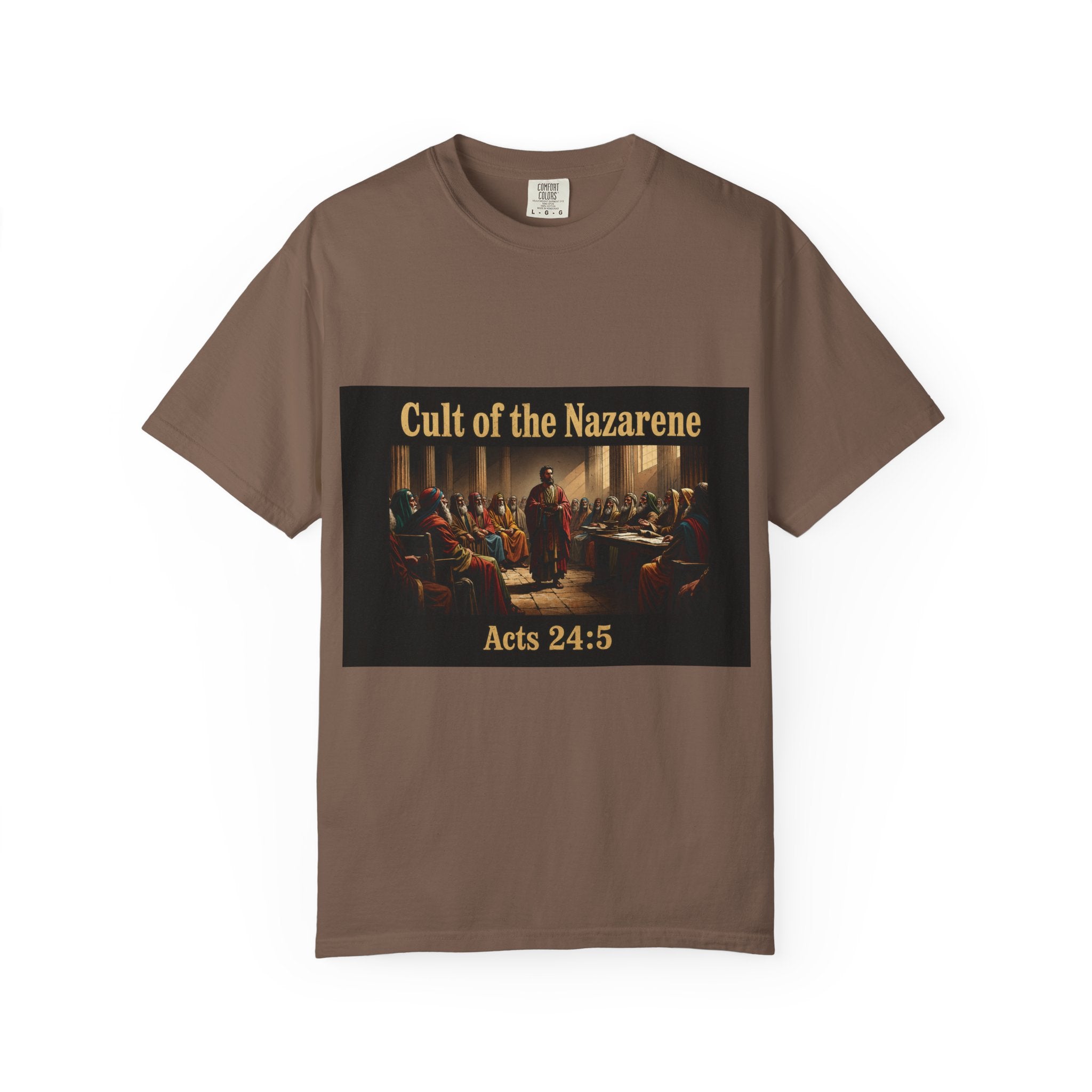 Acts 24:5 Unisex Comfort Dyed T-shirt