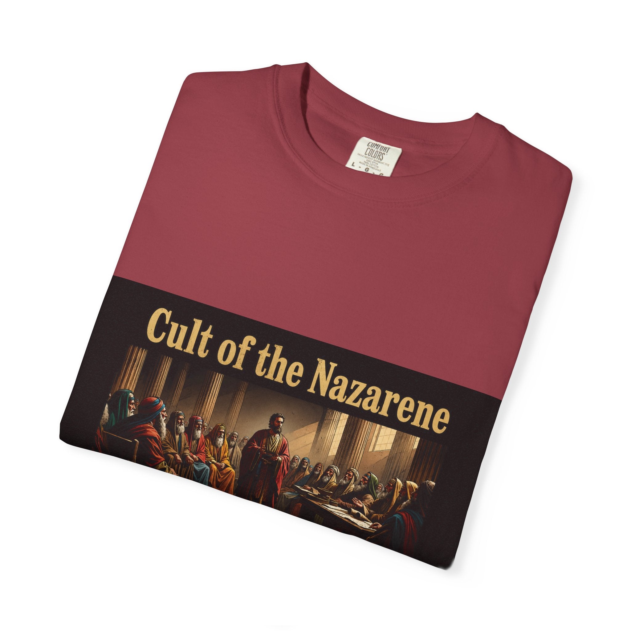 Acts 24:5 Unisex Comfort Dyed T-shirt