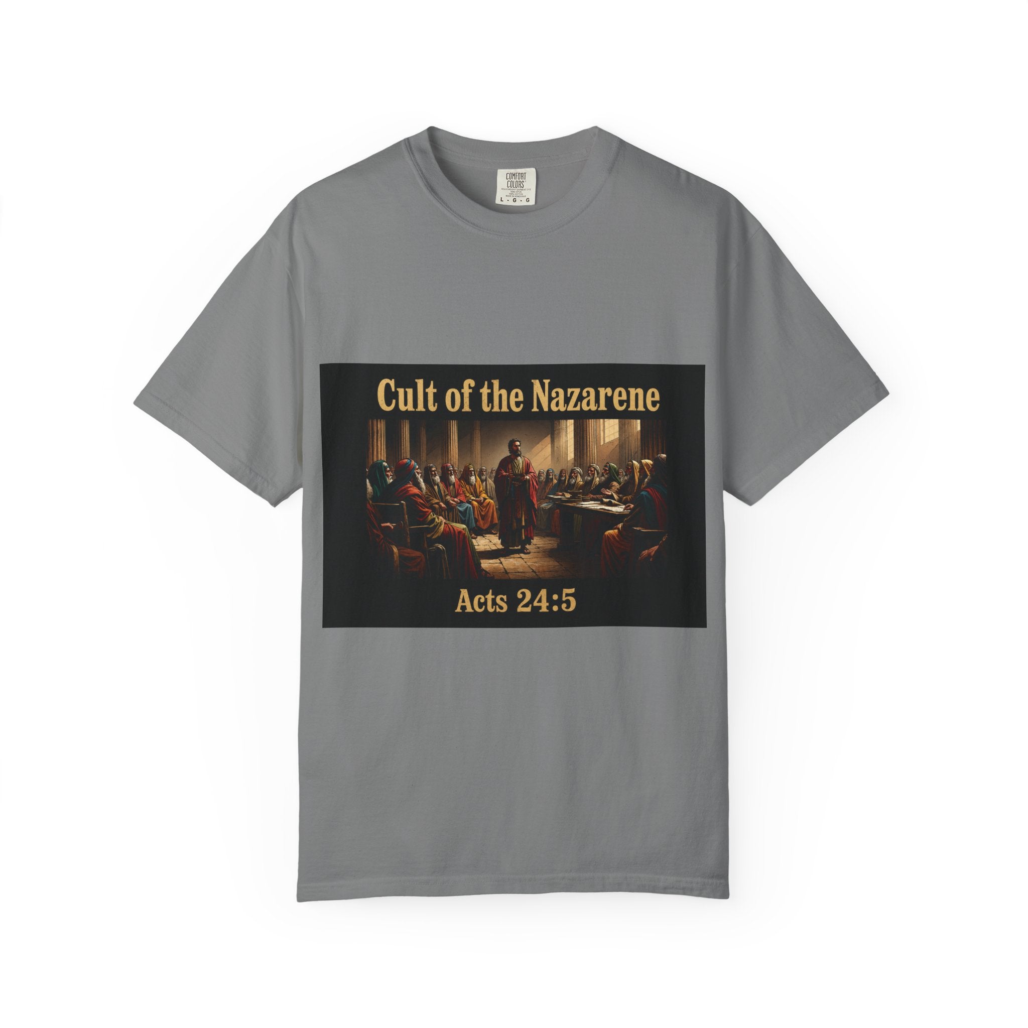 Acts 24:5 Unisex Comfort Dyed T-shirt