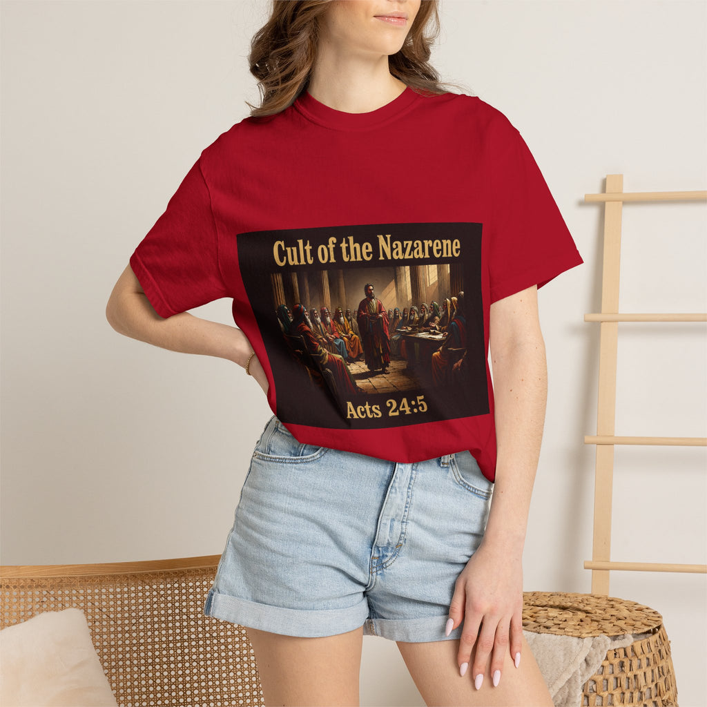 Acts 24:5 Unisex Comfort Dyed T-shirt