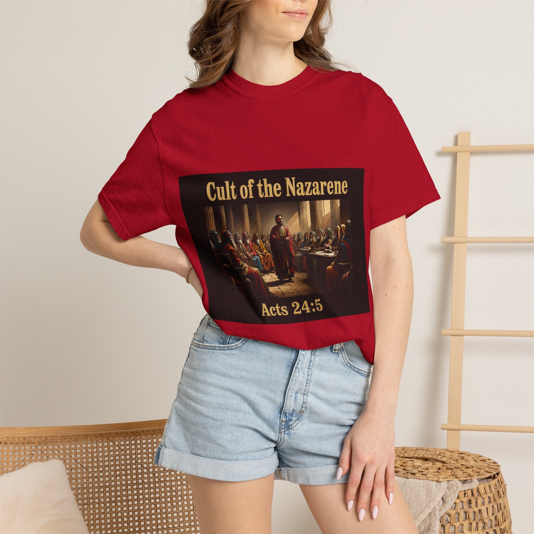 Acts 24:5 Unisex Comfort Dyed T-shirt