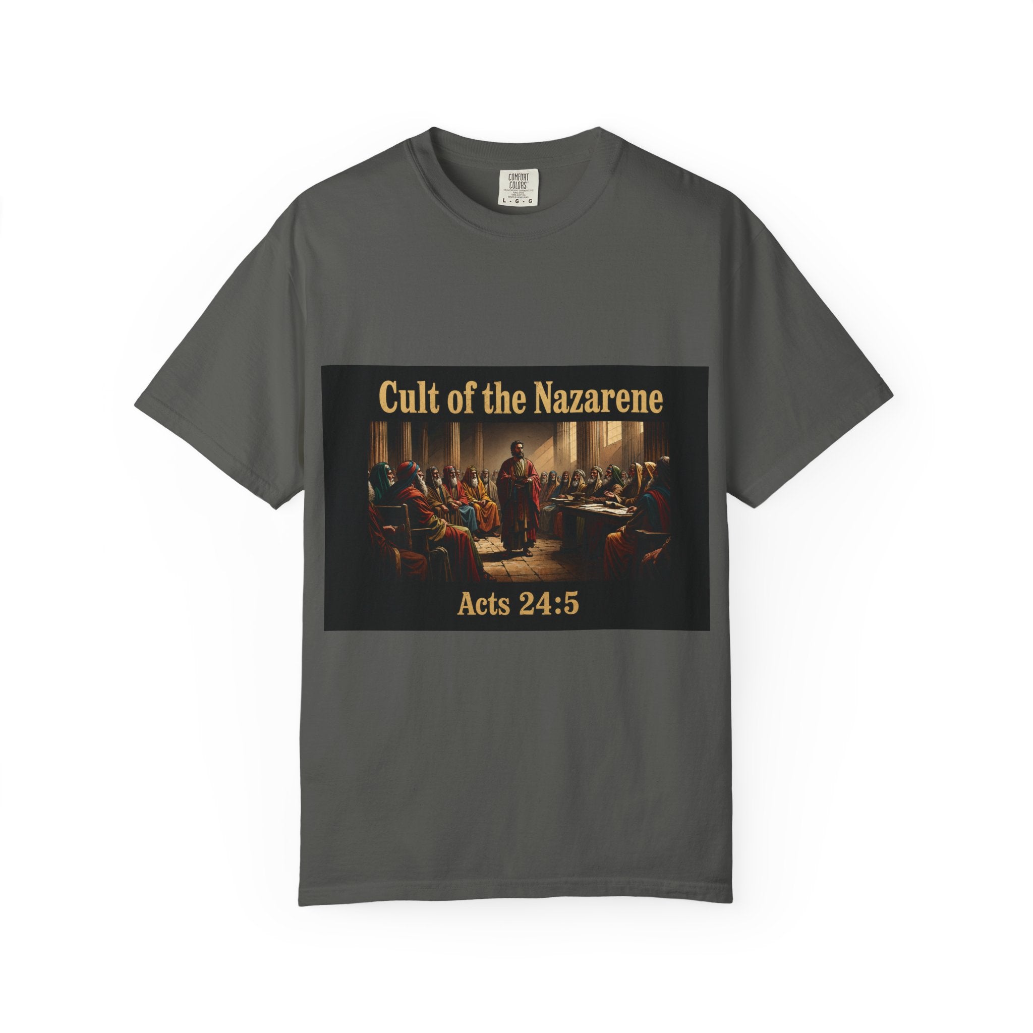 Acts 24:5 Unisex Comfort Dyed T-shirt