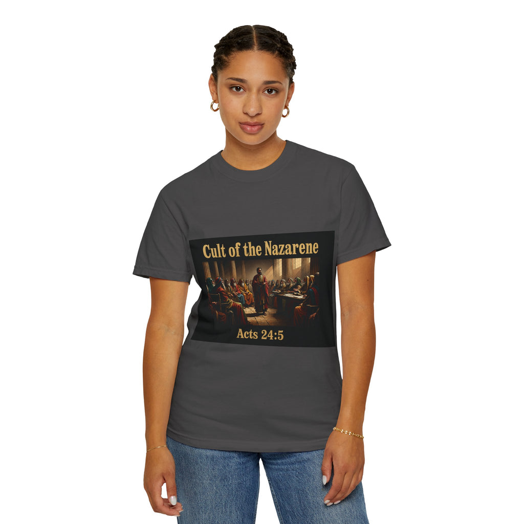 Acts 24:5 Unisex Comfort Dyed T-shirt