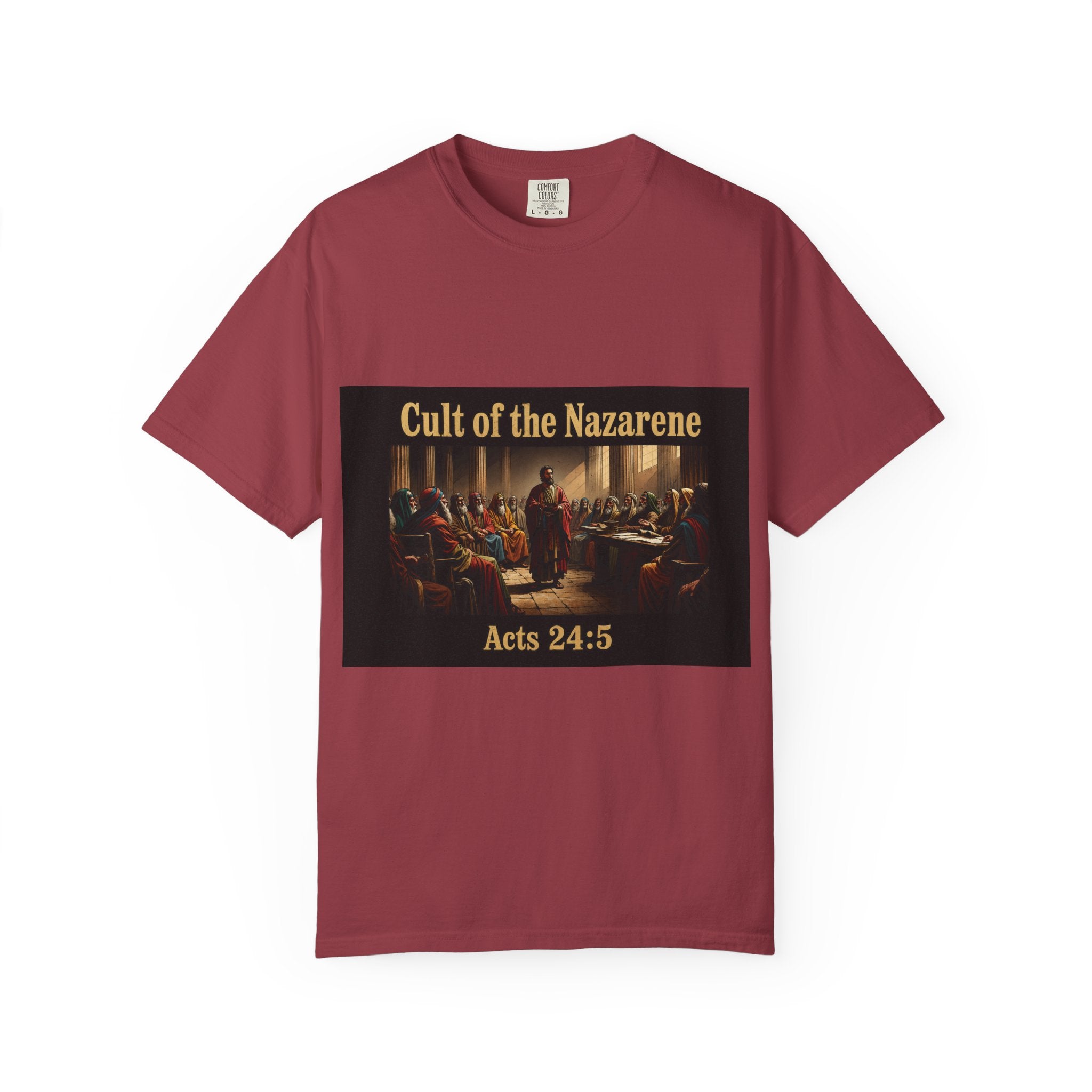 Acts 24:5 Unisex Comfort Dyed T-shirt