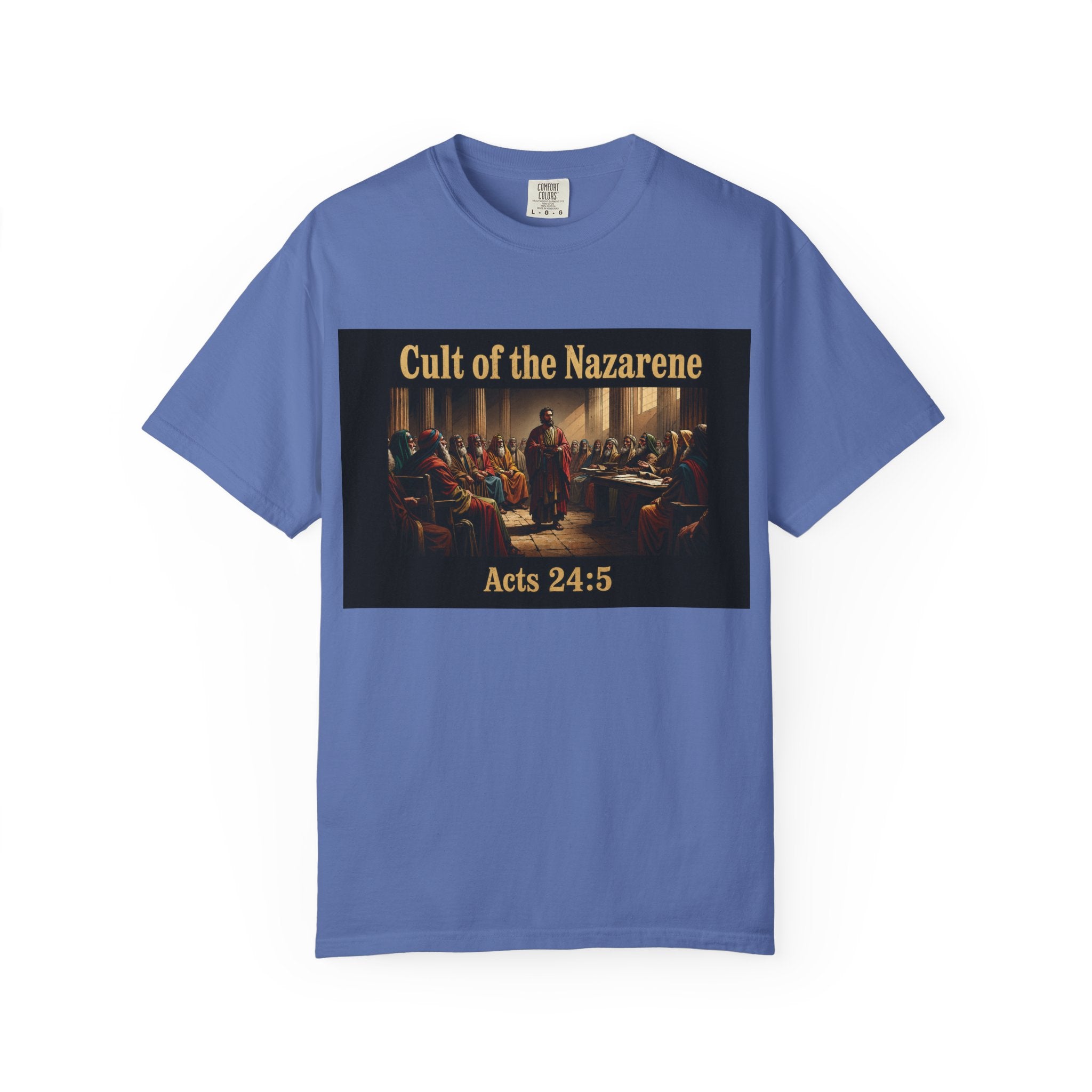 Acts 24:5 Unisex Comfort Dyed T-shirt