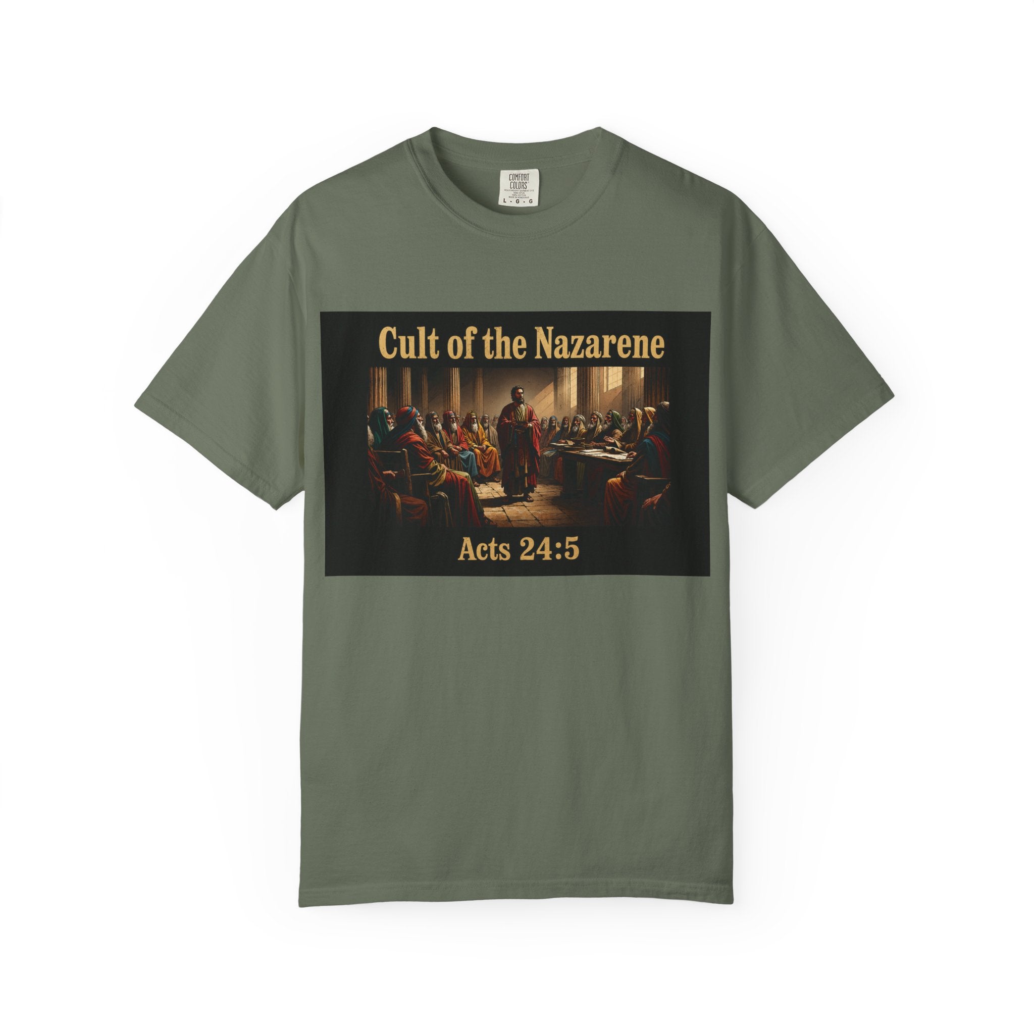 Acts 24:5 Unisex Comfort Dyed T-shirt