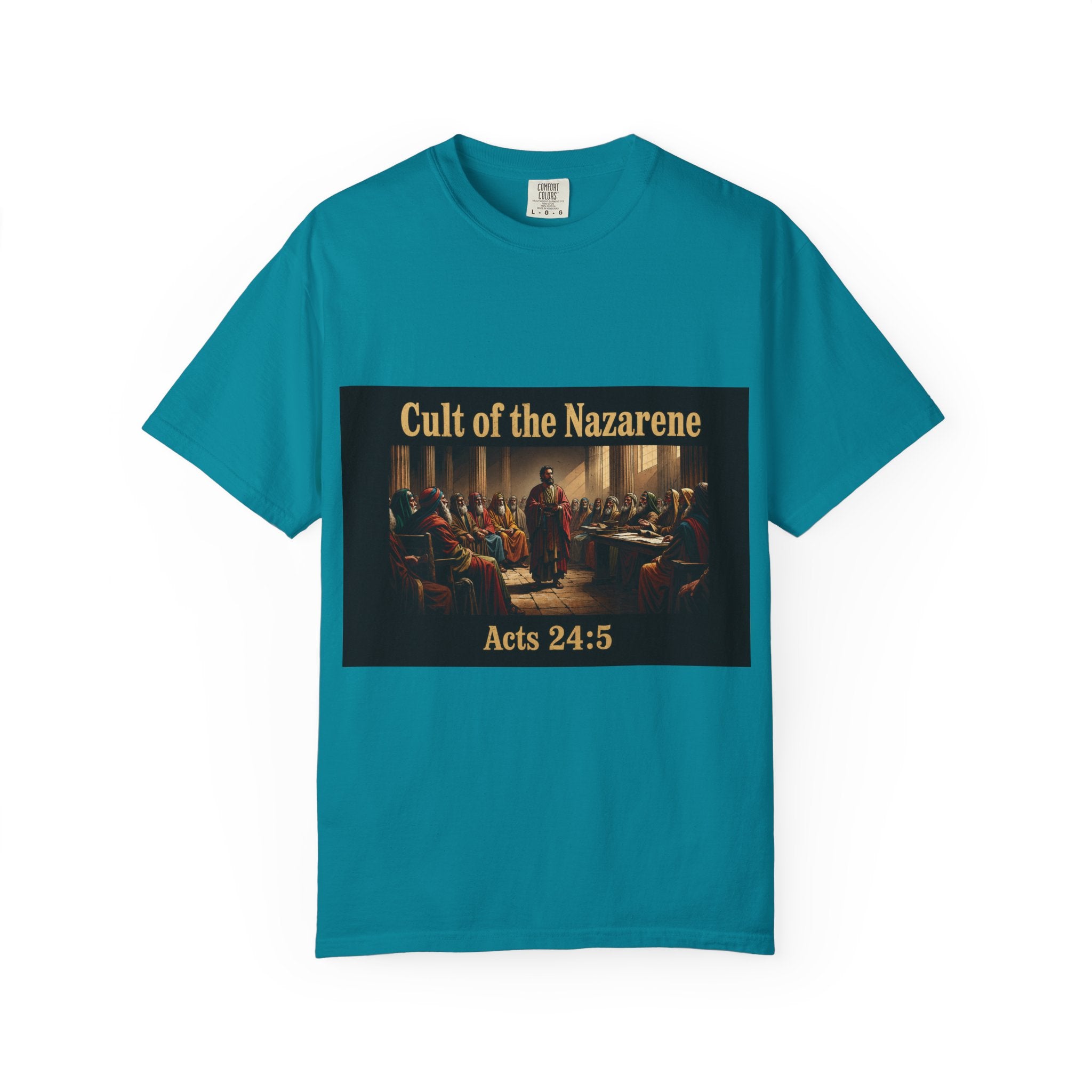 Acts 24:5 Unisex Comfort Dyed T-shirt
