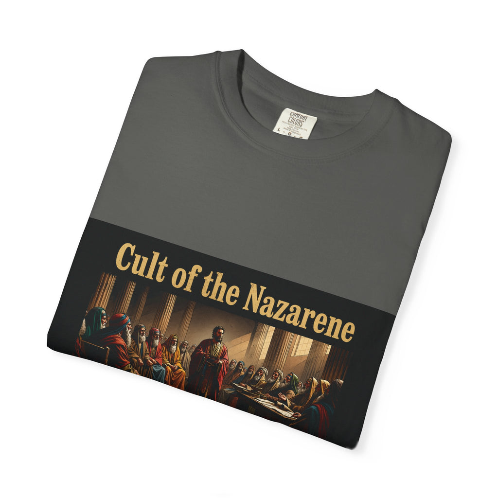 Acts 24:5 Unisex Comfort Dyed T-shirt