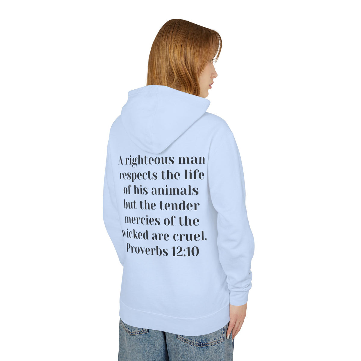 Cat Lover Jesus Follower Hoodie — Proverbs 12:10 Christian Pet Sweatshirt