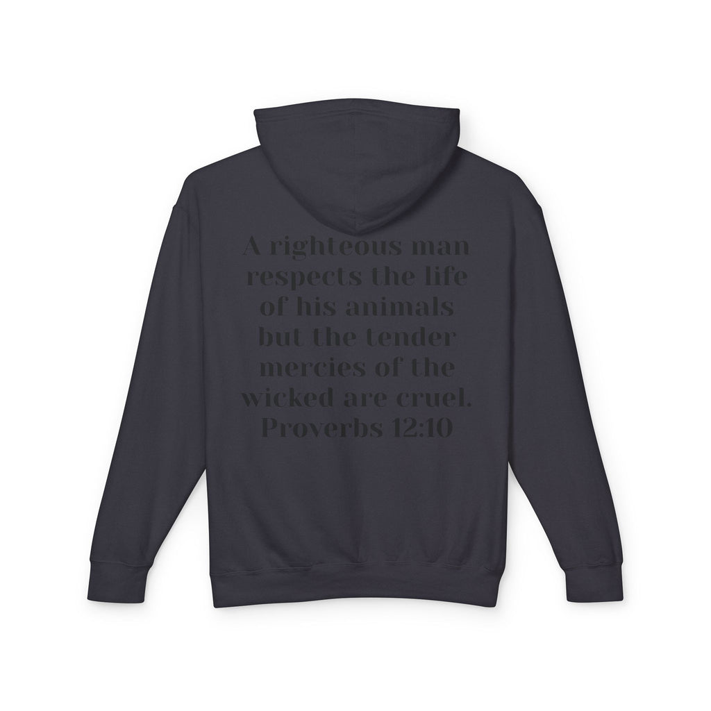 Cat Lover Jesus Follower Hoodie — Proverbs 12:10 Christian Pet Sweatshirt